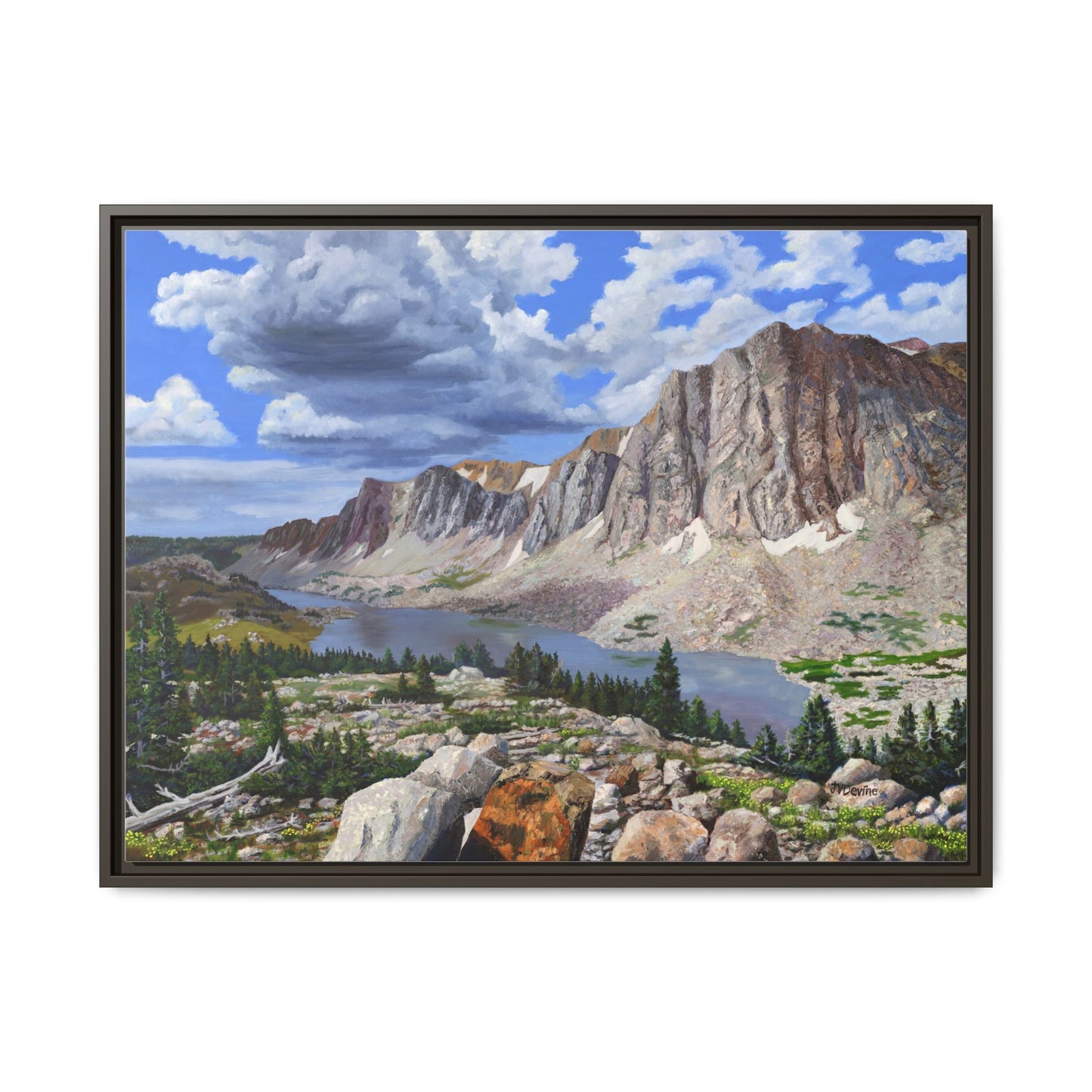 Happy Moment Looking at Lookout Lake