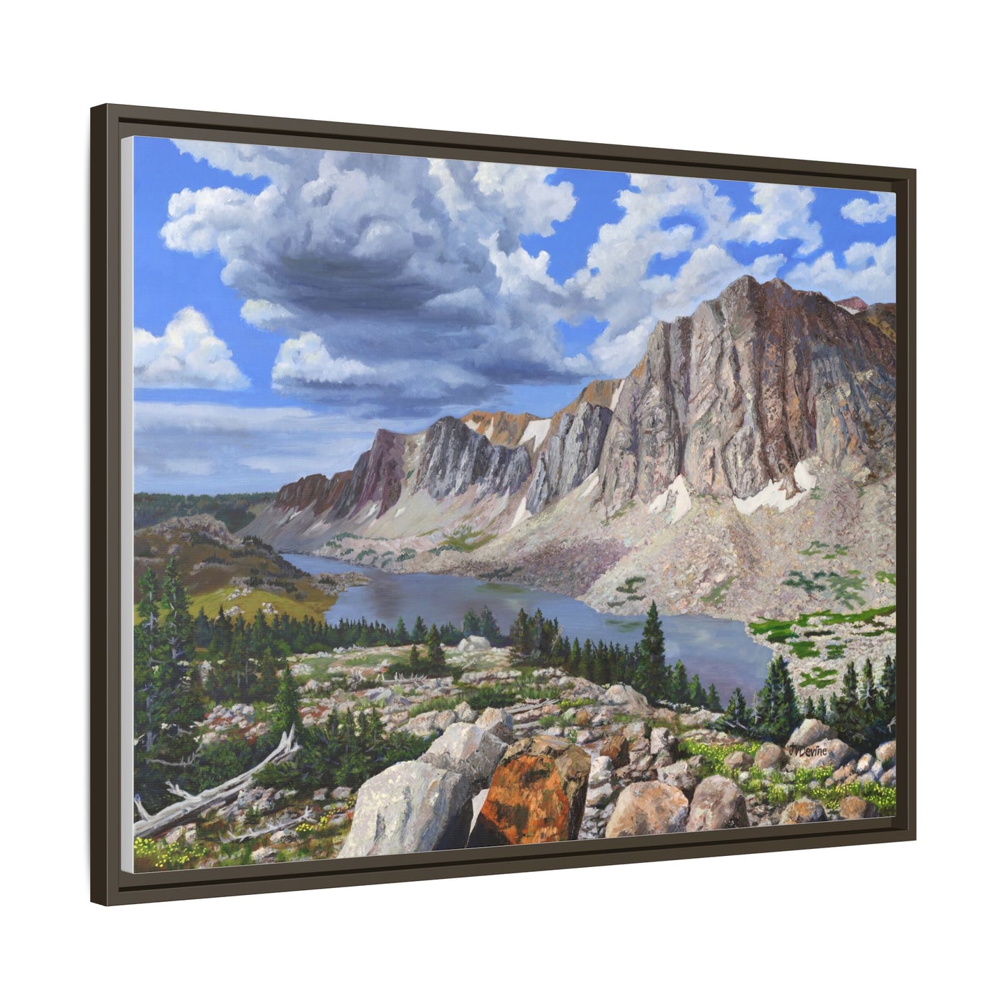 Happy Moment Looking at Lookout Lake