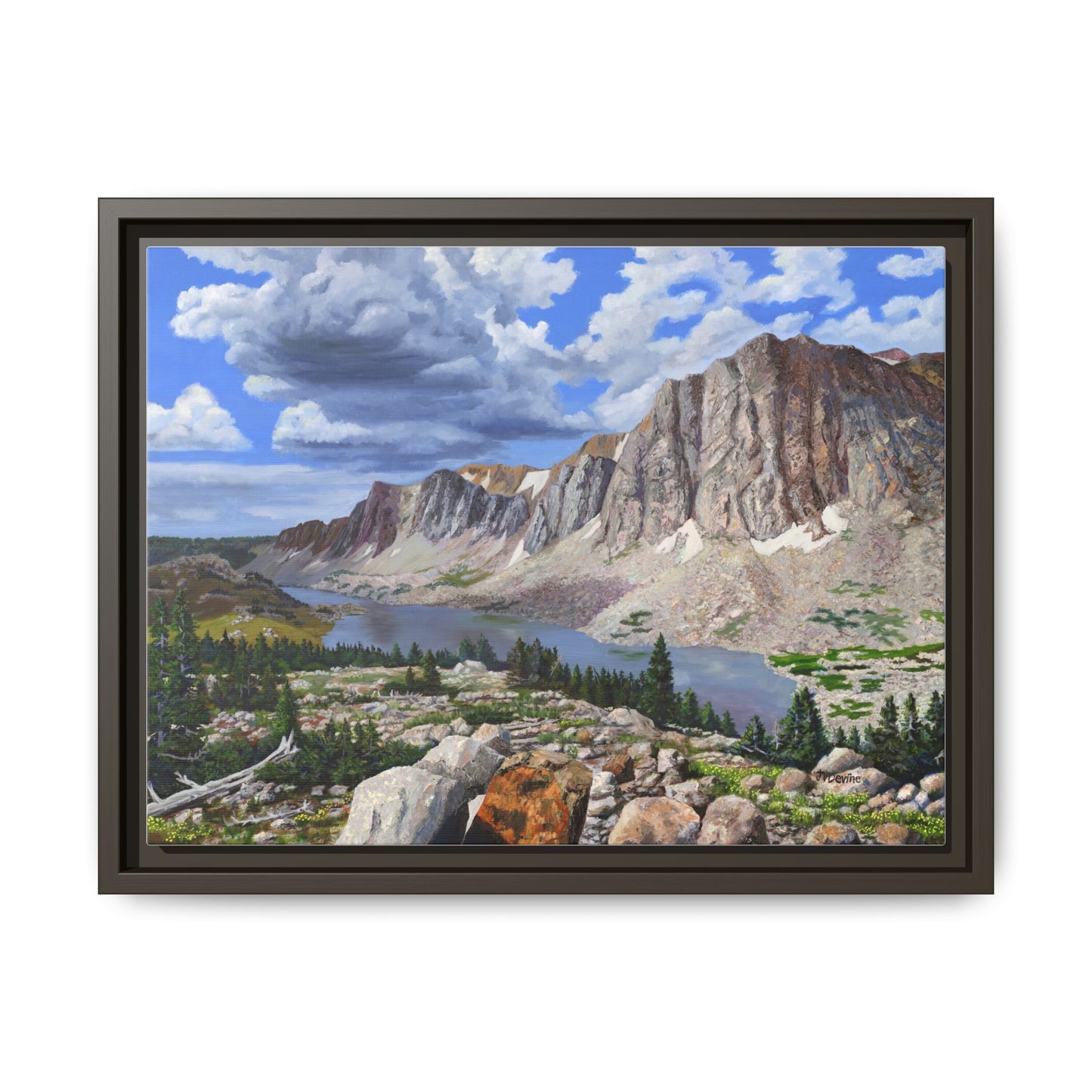 Happy Moment Looking at Lookout Lake