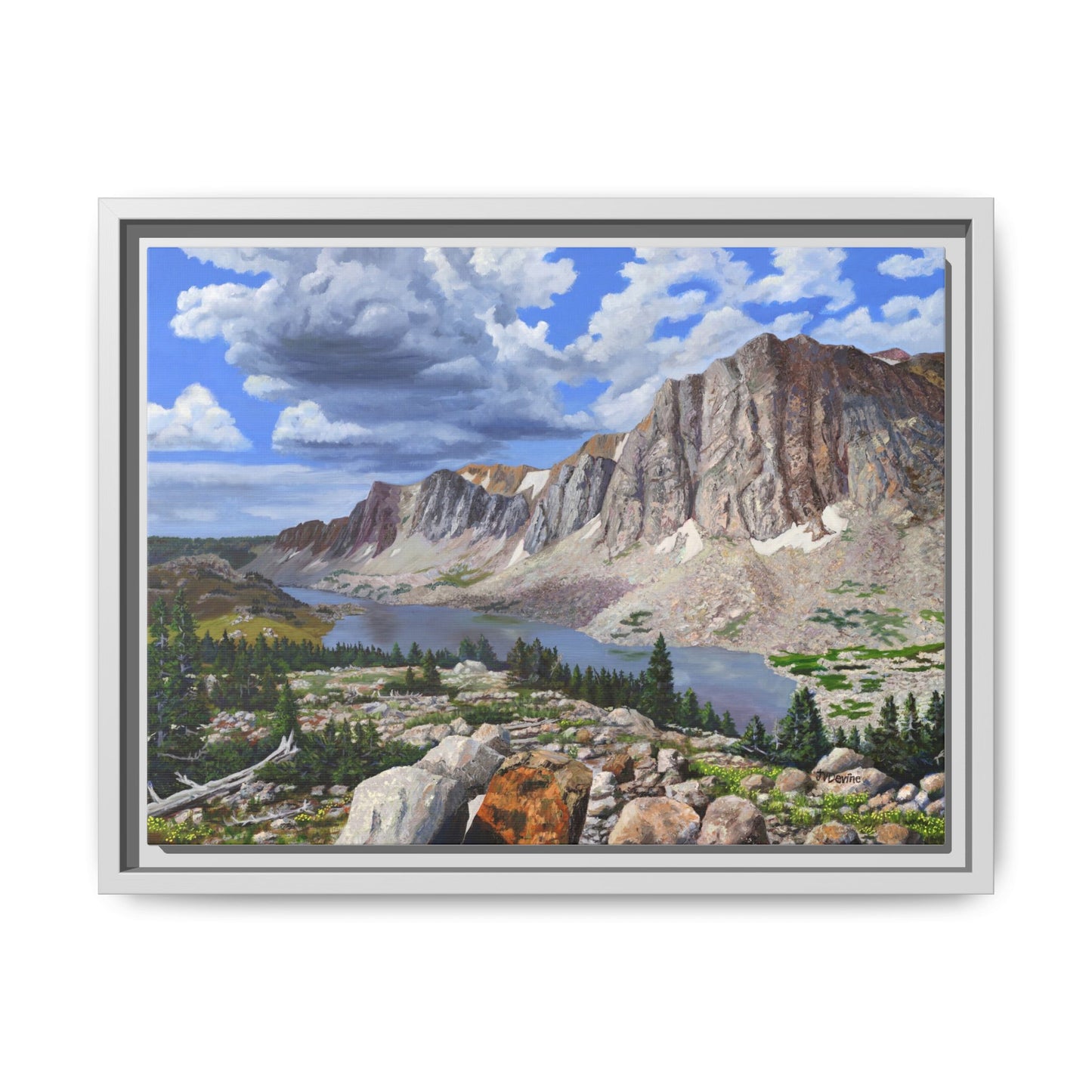 Happy Moment Looking at Lookout Lake