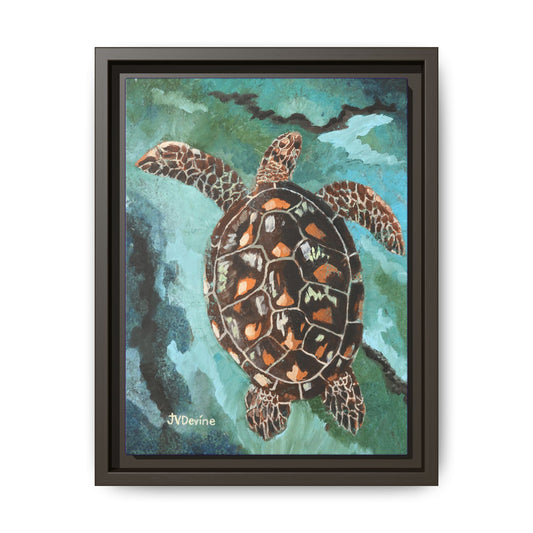 Kim's Turtle