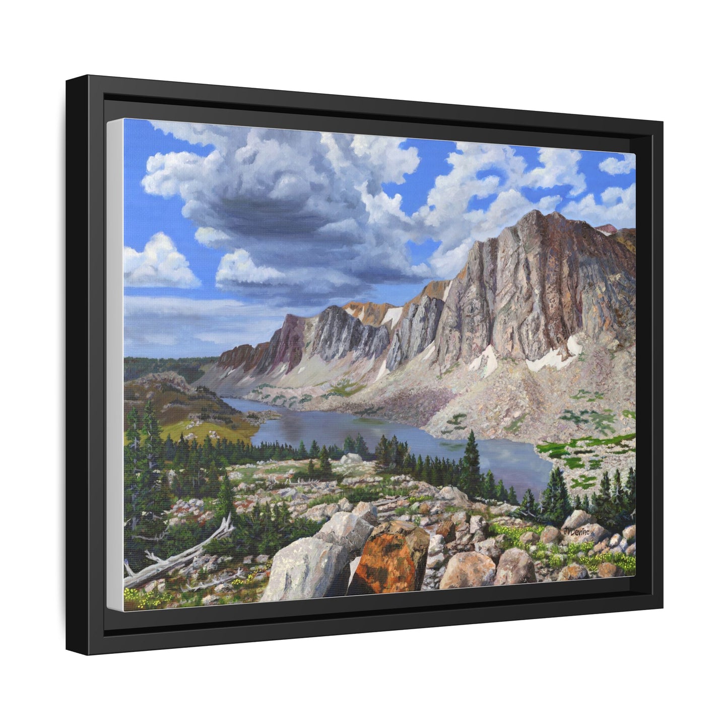 Happy Moment Looking at Lookout Lake