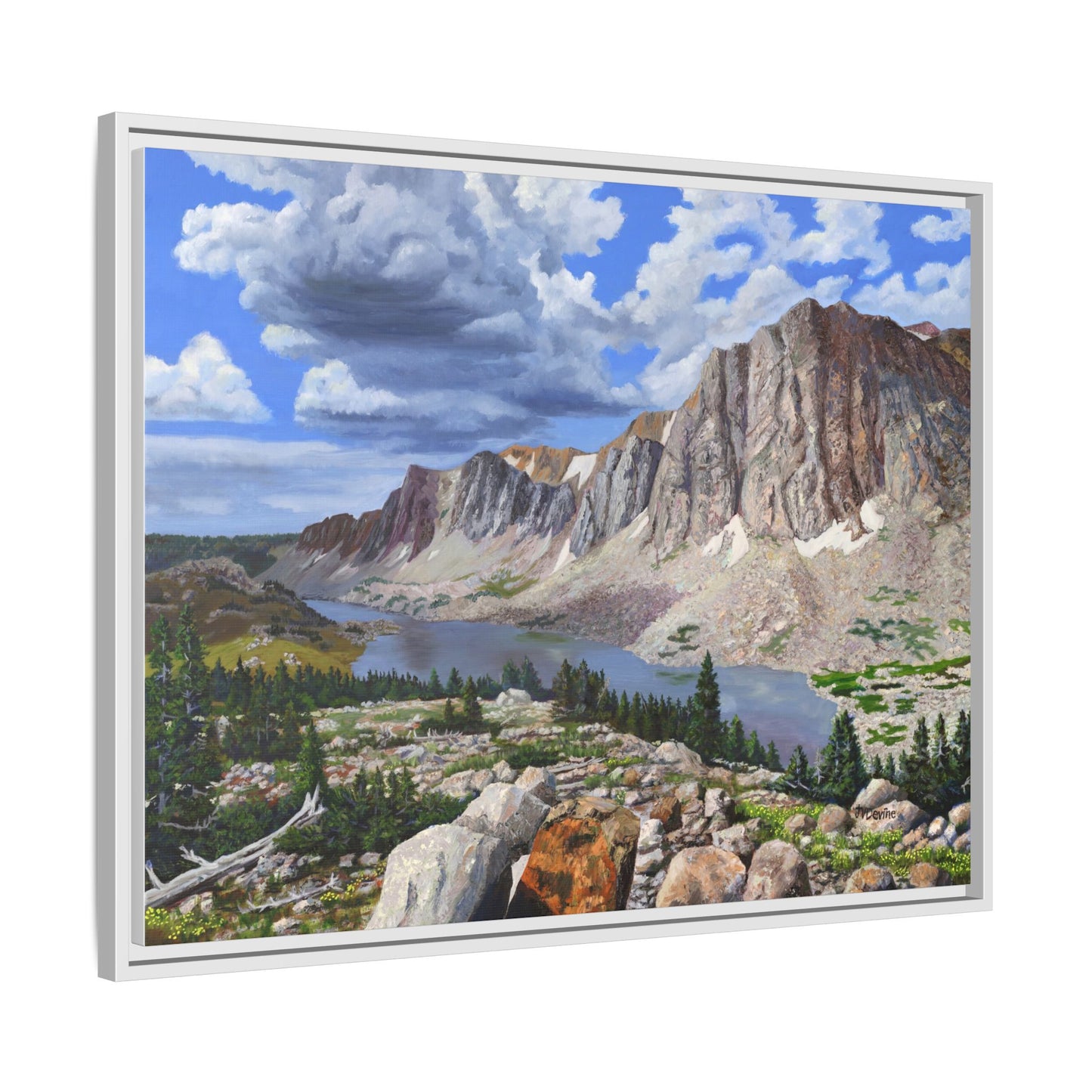 Happy Moment Looking at Lookout Lake