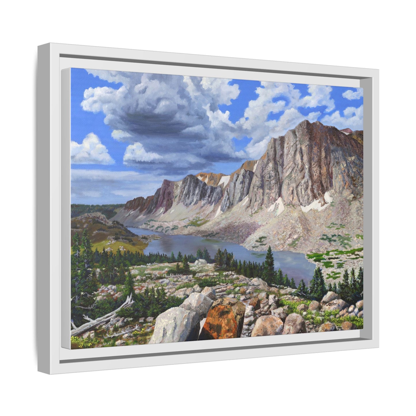 Happy Moment Looking at Lookout Lake