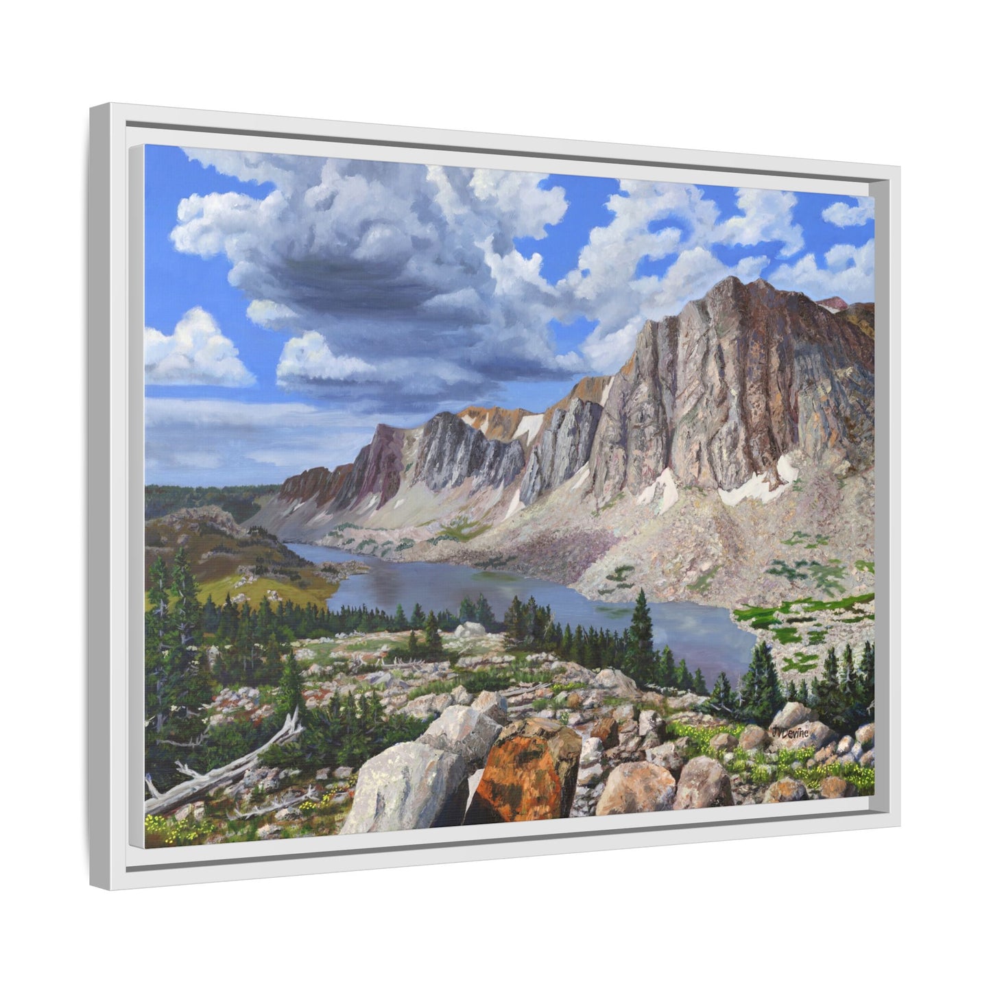 Happy Moment Looking at Lookout Lake