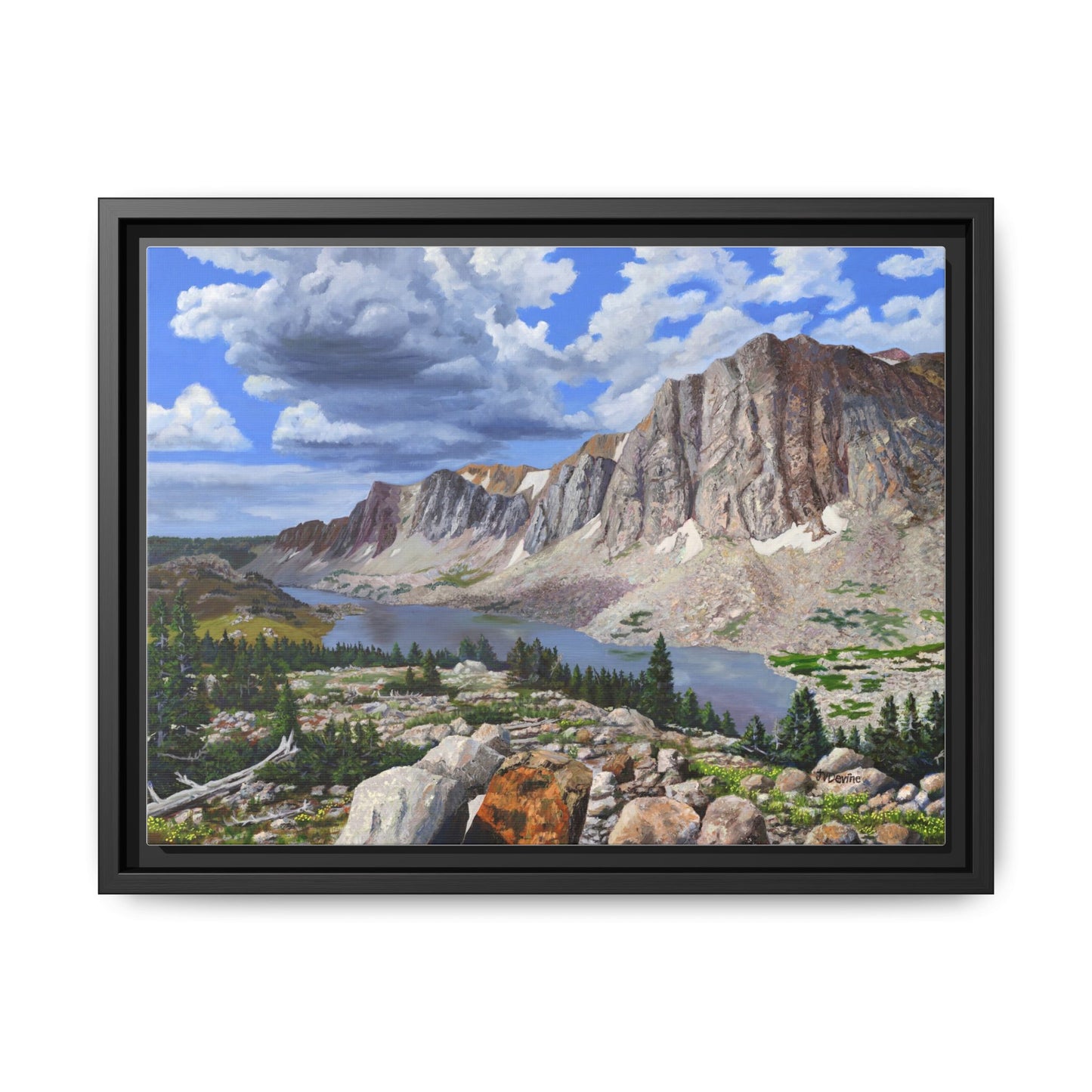 Happy Moment Looking at Lookout Lake