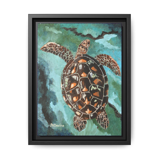 Kim's Turtle