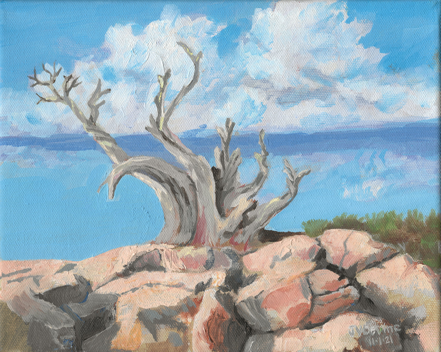 "El Junipero Muerto" -8x10 Oil on Canvas - ORIGINAL