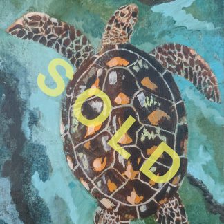 Kims.Turtle_SOLD